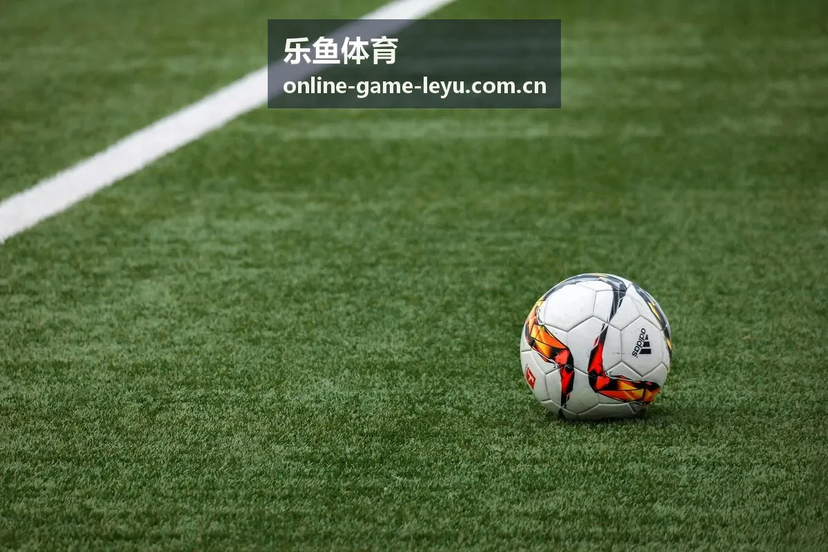 乐鱼体育安全帮助账号防护与访问验证